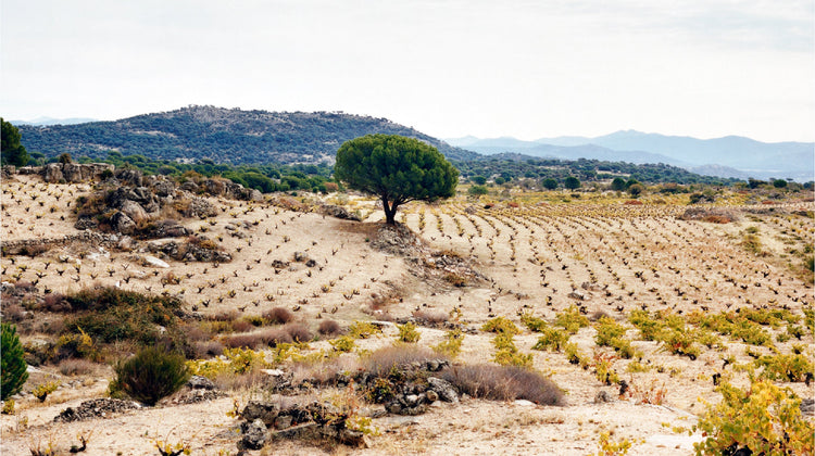 Sierra de Gredos
